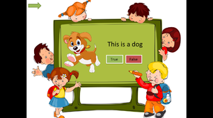 True or false Power Point