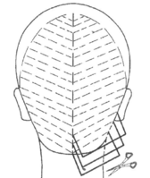 03010cpj-f3dc-168x199.png