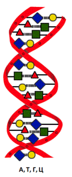 03010g8m-bd59-147x357.png