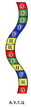03010g8n-c8c3-104x357.png