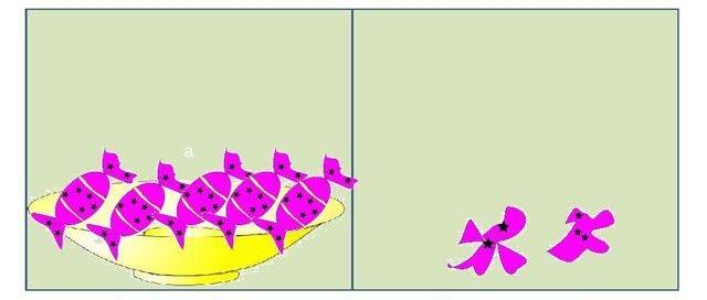 03010o7v-5f7e-640x272.jpg