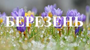 Індивідуальний план роботи під час воєнного стану. Березень. Середній вік