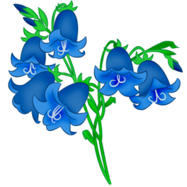 03010rfn-6197-264x264.png