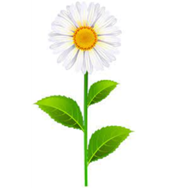 03010rg0-d731-264x273.png