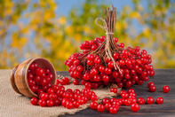 03010tif-494c-197x132.jpg