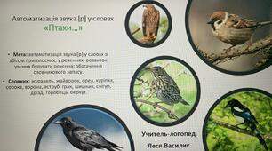 Логопедична гра на автоматизацію звука [р] у словах " Птахи".