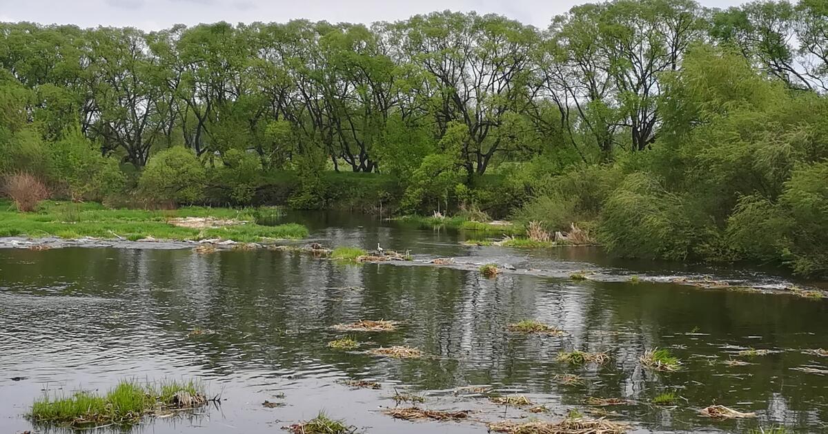 Міжнародний день очищення водойм