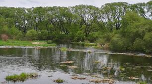Міжнародний день очищення водойм