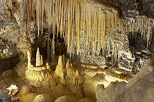 03010zr1-7773-220x146.jpg