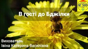 Відеоурок В гості до Бджілки