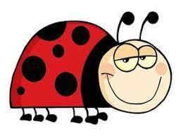 Ladybug clipart black and white free clipart images 5 - Cliparting.com