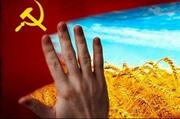 В Україні з'явилася рада з питань дерусифікації, декомунізації та деколонізації