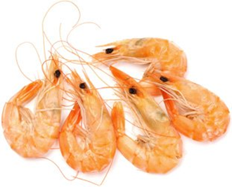 030111nd-623d-330x266.png