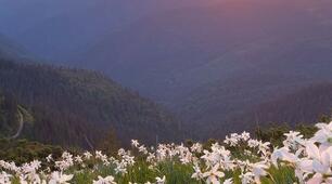 Відсотки