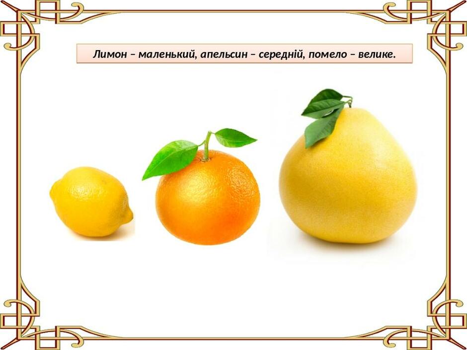 030112g9-c8d7-940x705.jpg