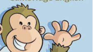 Reading and comprehension. YLE Starters Part 2