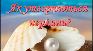 Презентація на тему "Як утворюються  перлини?"