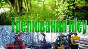 Презентація на тему Трелювання лісу