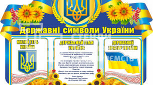 Курсова робота  з навчальної дисципліни  «Кримінальне право» на тему  «Кримінально-правова характеристика  наруги над державними символами (ст. 338 КК)»