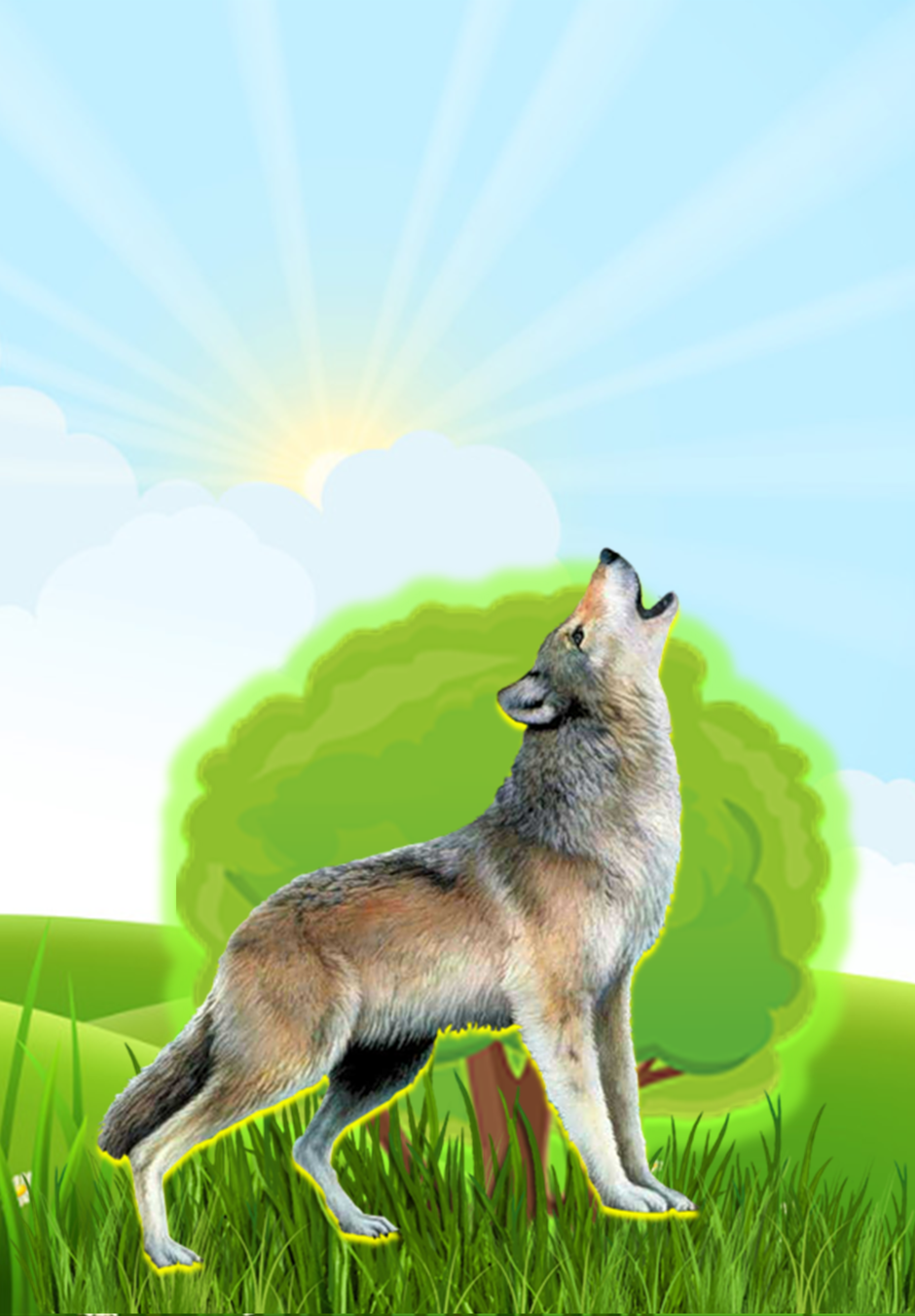 03011405-edf4-940x1352.png