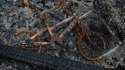 Рашисти хочуть полоненими українцями «розміновувати» околиці Маріуполя 