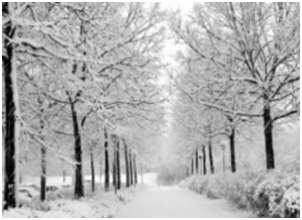 0301178f-d23d-302x220.png