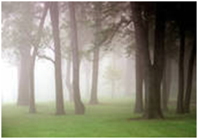 0301178n-1eb7-288x202.png