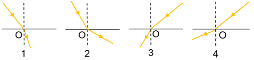 030117h2-07b8-520x123.png