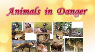 Презентація на тему "Animals in danger"