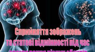 Презентація на тему "Сприйняття зображень  та статеві відмінності під час  споглядання різних обєктів"