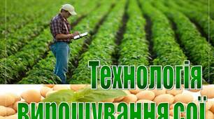 Презентація на тему "Технологія  вирощування сої"