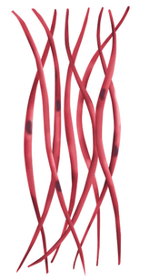 03011a4b-82e5-176x308.png