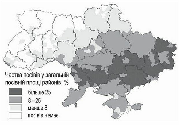 03011b45-d878-620x434.jpg