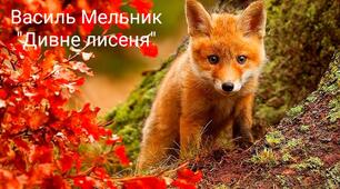 Аудіоказка В.Мельника "Дивне лисеня"