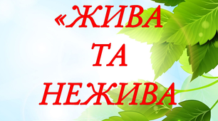 Дидактична гра "Жива та нежива природа"