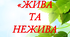 Дидактична гра "Жива та нежива природа"