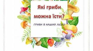 Проєктна робота: " Які гриби можна їсти? Гриби в наших лісах.