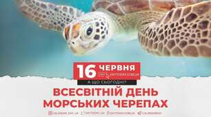 Всесвітній день морських черепах