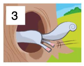03011i6d-0112-280x222.png