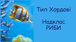  Клас Хрящові та Кісткові риби 
