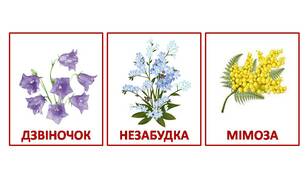 Розвиваючі картки Домана "Квіти"