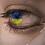 Андрущенко Лариса Володимирівна
