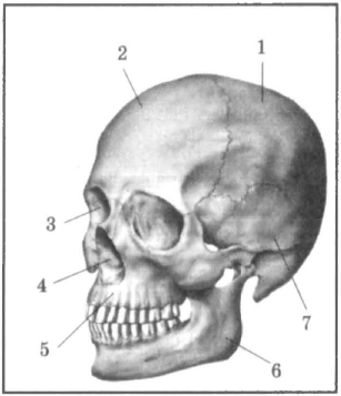 03011m9f-5718-307x357.png