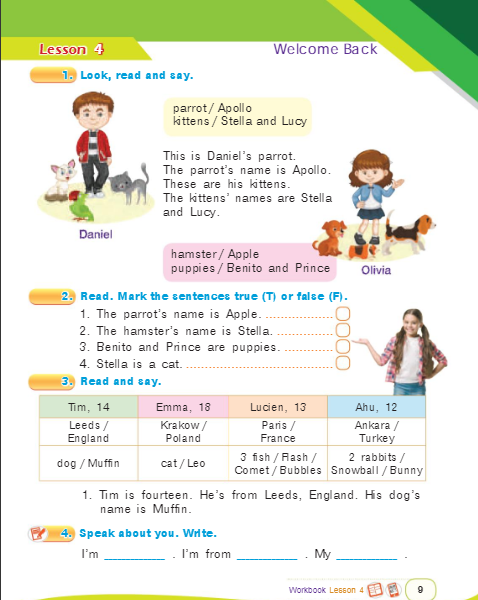 03011tds-ceb8-478x600.png
