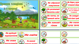 Правила поведінки в природі