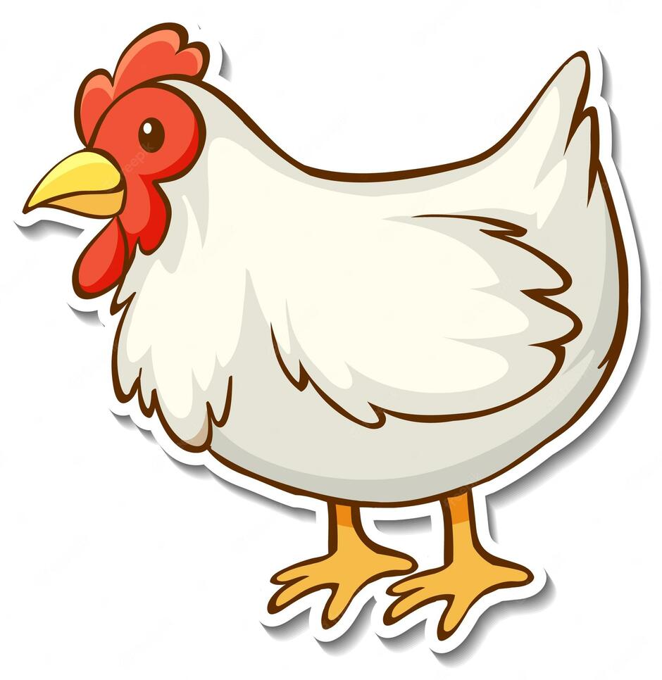 Изображения Cartoon Chicken | Бесплатные векторы, стоковые фото и PSD