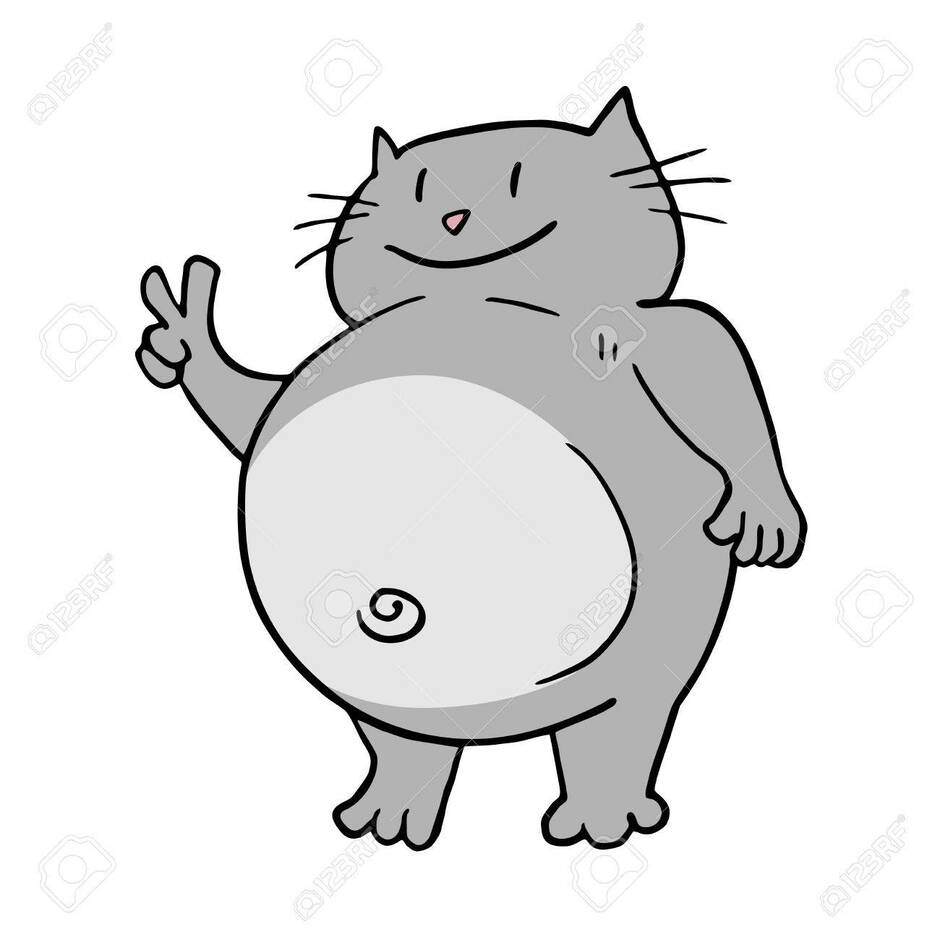 Funny Fat Cat Royalty Free SVG, Cliparts, Vectors, And Stock Illustration. Image 55680629.