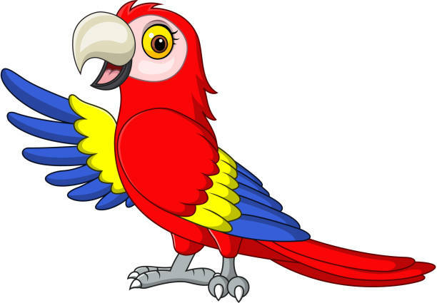 12,923 Parrot Cartoon Stock Photos, Pictures & Royalty-Free Images - iStock