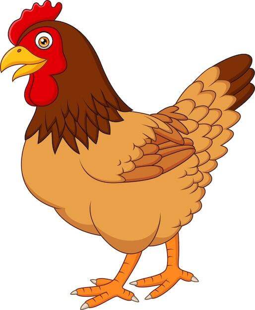 Premium Vector | Cartoon hen isolated on white background