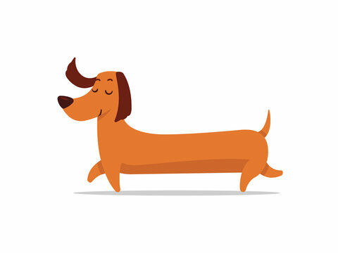 Dachshund Cartoon Images – Browse 14,683 Stock Photos, Vectors, and Video | Adobe Stock
